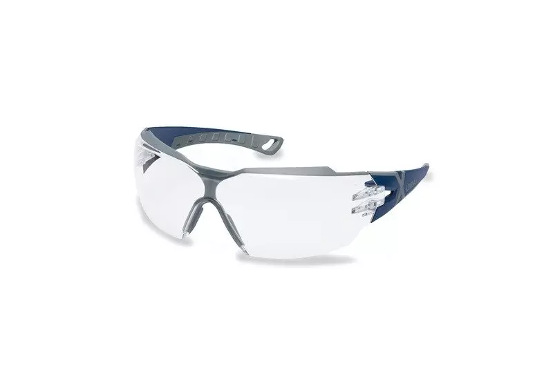 Pheos CX2 Protective Glasses - Transparent - (9198.257)